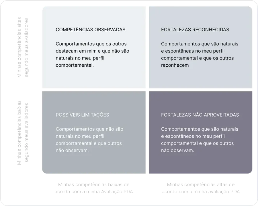 Matriz do relatório: competências observadas, fortalezas reconhecidas, limitações e fortalezas não aproveitadas
